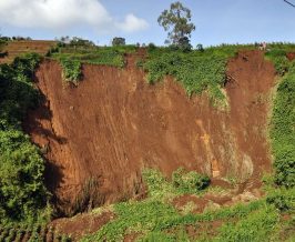 Yuk Ketahui Strategi Tepat untuk Cegah Longsor di Area Rawan