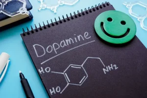 dopamine detox