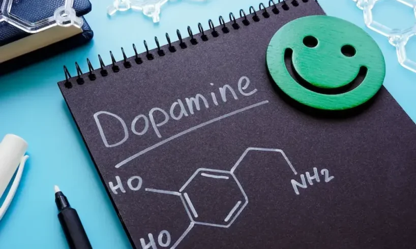 dopamine detox